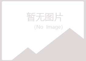 兴山县回忆工程有限公司